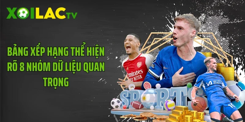 Bảng xếp hạng thể hiện rõ 8 nhóm dữ liệu quan trọng