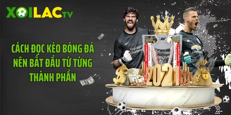 Cách đọc kèo bóng đá nên bắt đầu từ từng thành phần