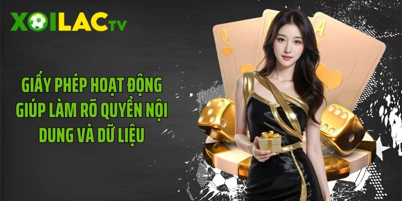 Giấy phép hoạt động giúp làm rõ quyền nội dung và dữ liệu