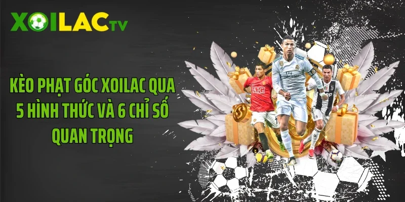 Kèo Phạt Góc Xoilac Qua 5 Hình Thức Và 6 Chỉ Số Quan Trọng